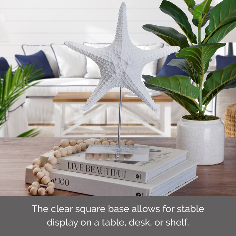 Elements Starfish Figurine, 11X14 Inch, White