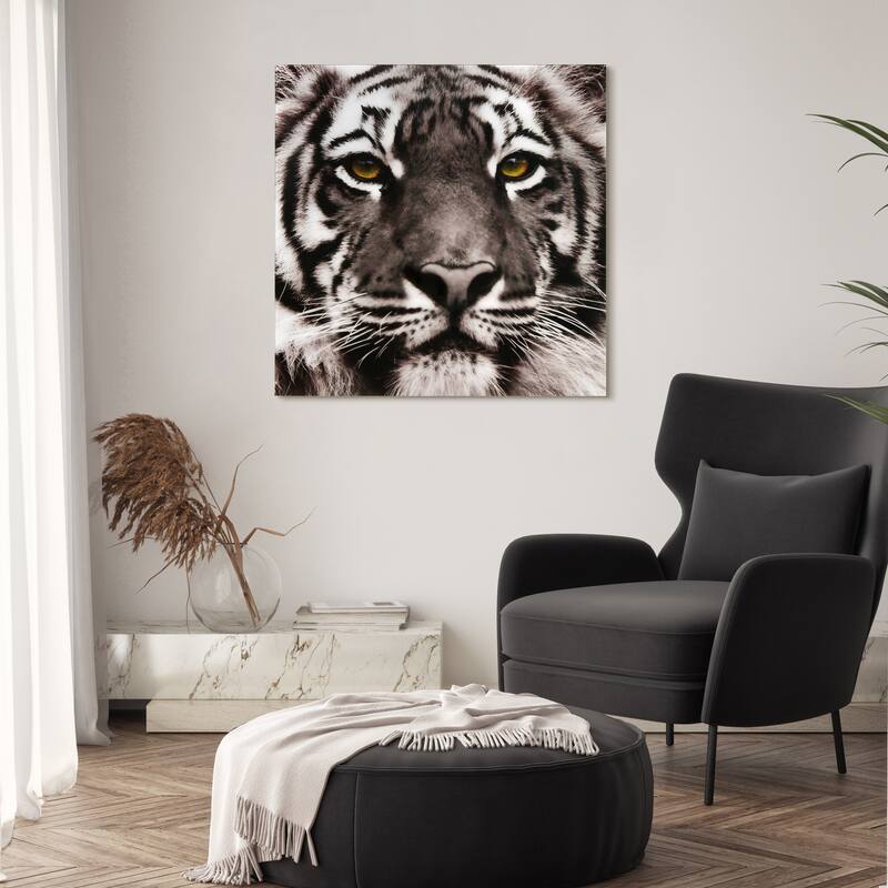 "Eye of the Tiger" Frameless Free Floating Tempered Glass Panel Graphic Wall Art