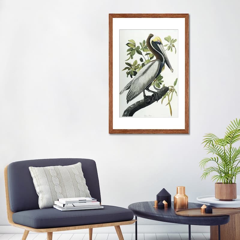 iCanvas "Brown Pelican, 1835 " by John James Audubon