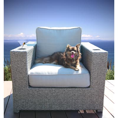 LSI Chair with Cushions