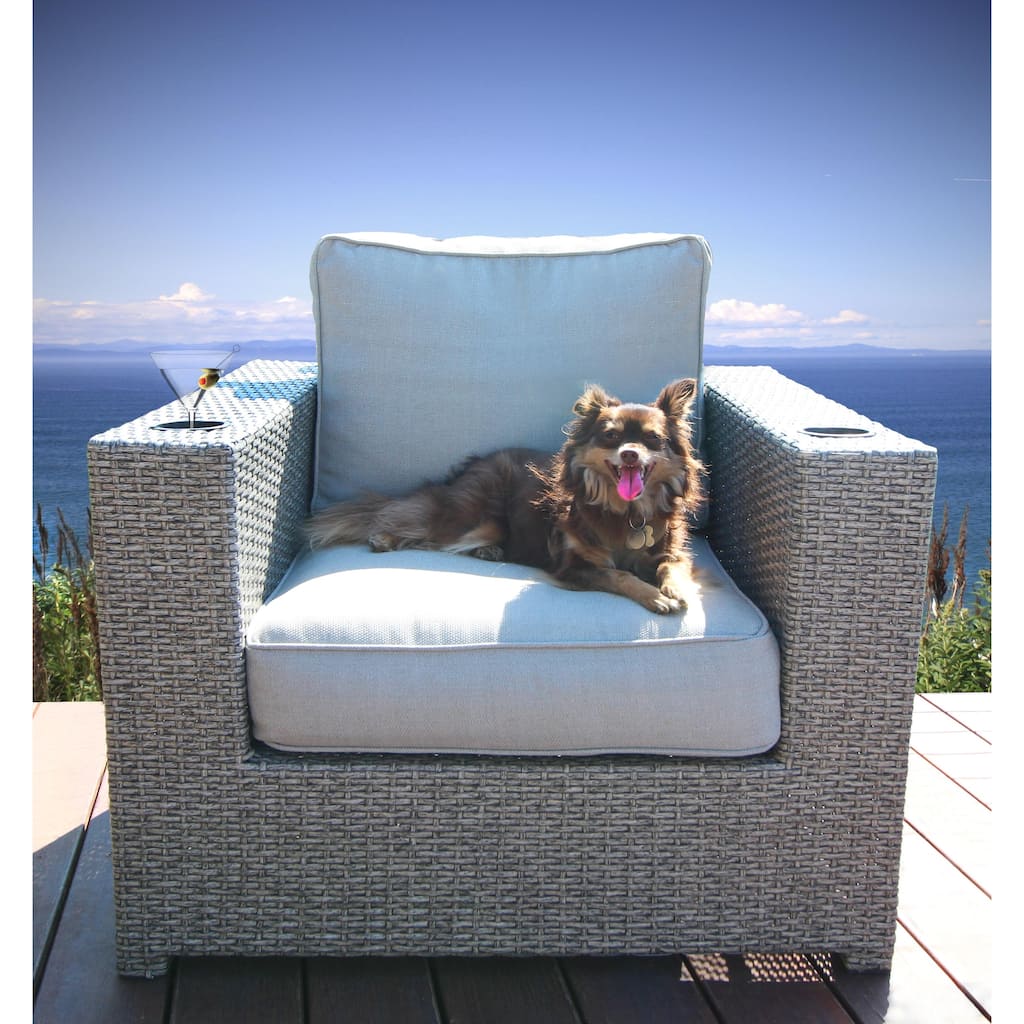LSI Chair with Cushions