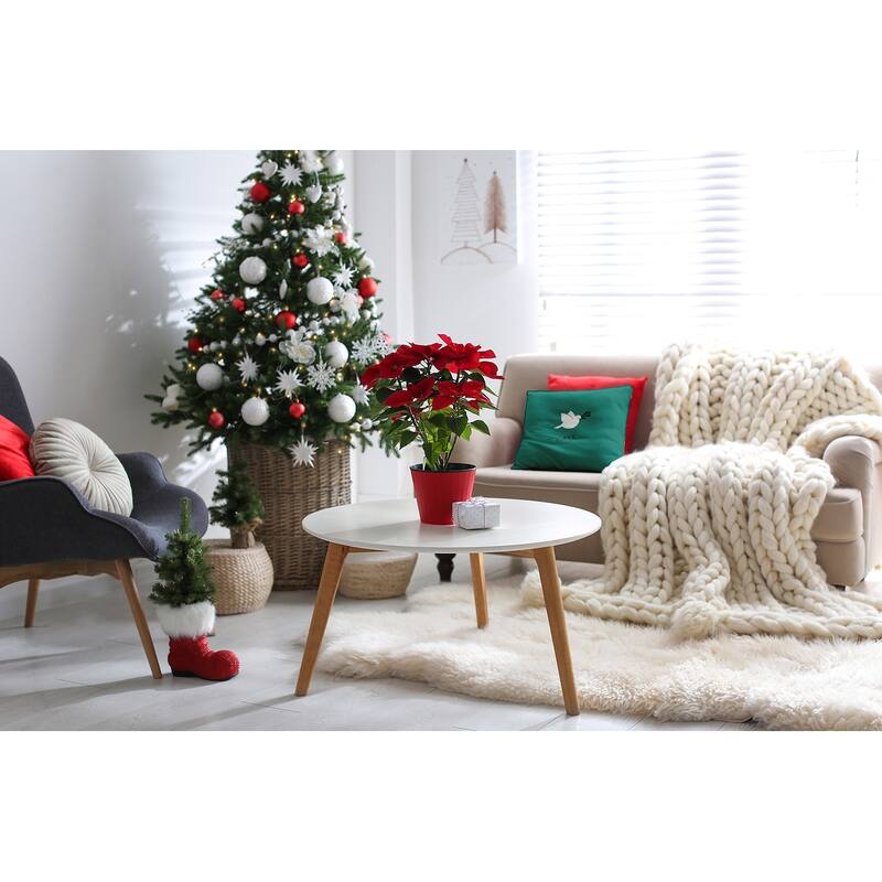 Noel Bird Christmas Soft Spun Polyester Decorative Throw Pillow
