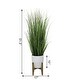 preview thumbnail 8 of 7, 50" Onion Grass in 10" Cathedral Ceramic Pot