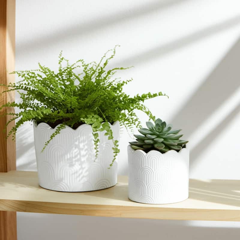 Stoneware Planters Scallop Design and Curved Rim Detail (Set of 2)
