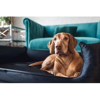 Silk top dog bed