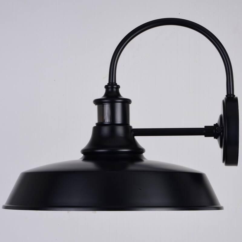 Dorado Bronze Motion Sensor Dusk to Dawn Farmhouse Barn Dark Sky Outdoor Wall Light