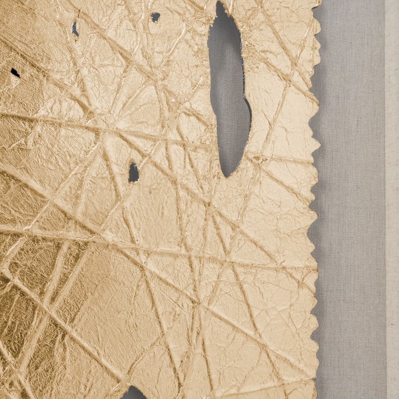 Lustrous Beauty, Modern Framed Shadow Box