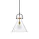 Oil Rubbed Bronze and Antique Gold 1-Light Clear Cone Glass Pendant