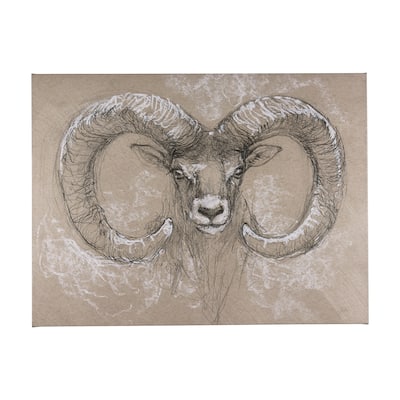 Sketch of Animal I (Wild Sheep) (56 x 42) Canvas Art Print