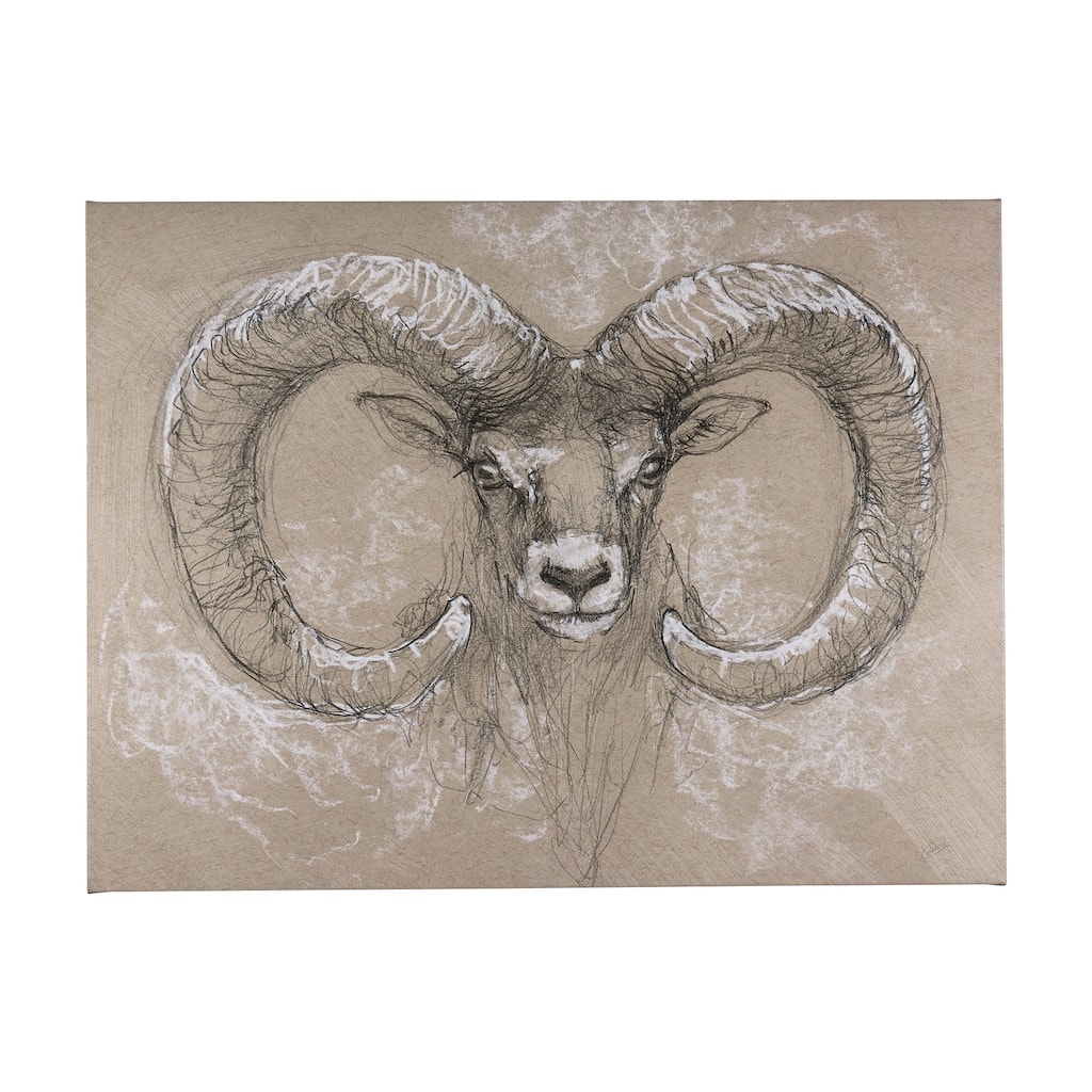 Sketch of Animal I (Wild Sheep) (56 x 42) Canvas Art Print