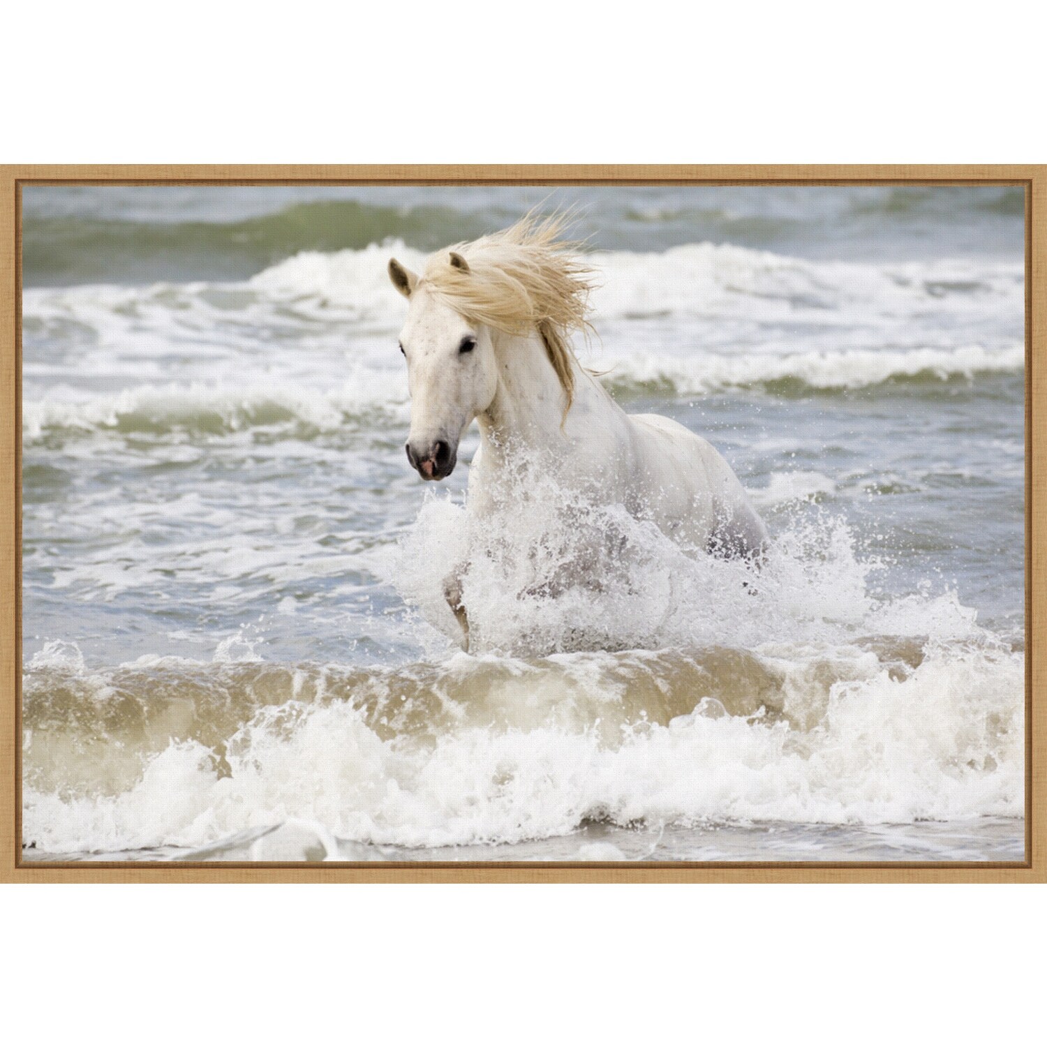 Camargue horse in the surf by Ellen Goff Framed Canvas Art