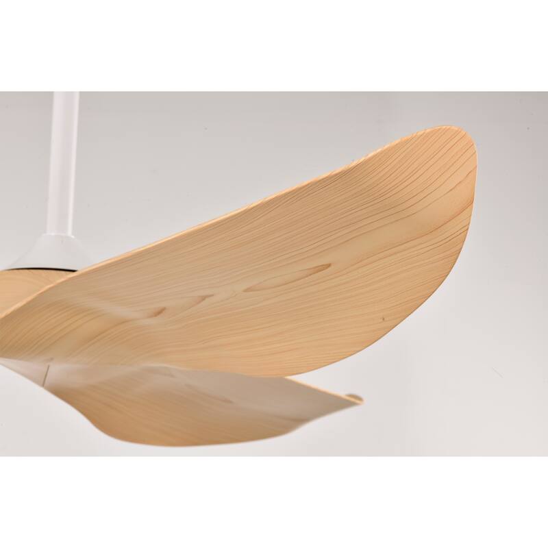 Duncan Modern 3 Bladed Ceiling Fan with Remote