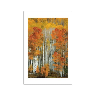 Dalmatian Autumn Fine Art Paper Print by Bill Sherrell - Multi