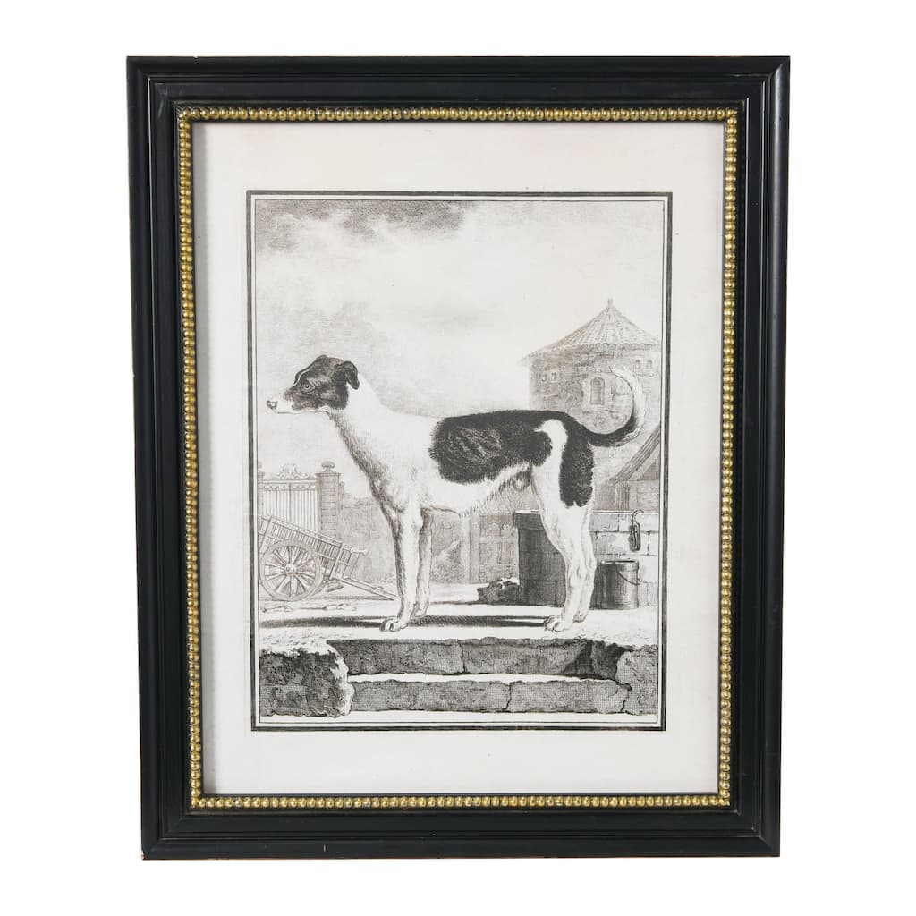 Vintage Reproduction Dog Print with Solid Wood Frame - Black