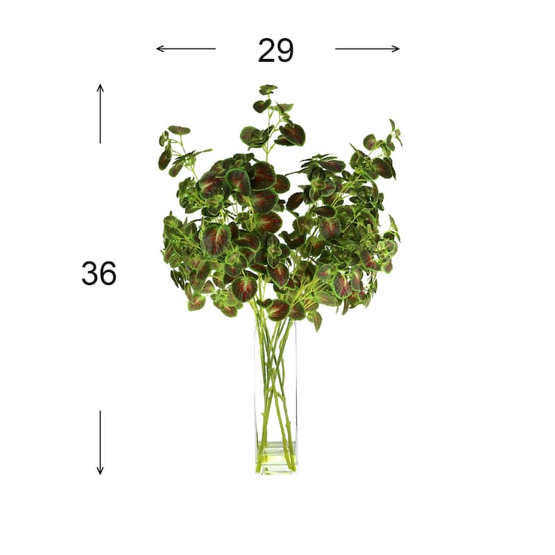 Organic Modern Mint Leaves Arranged in a Clear Glass Vase - Green