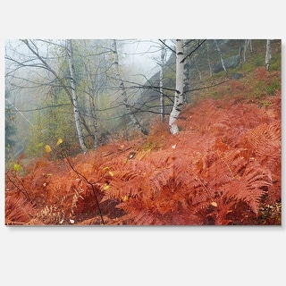Red Fern in Foggy Fall Fay - Landscape Photo Glossy Metal Wall Art ...