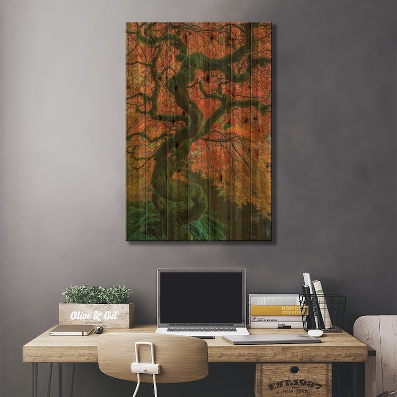 USA, Washington State, Bainbridge Island. Japanese maple tree in fall. Print On Wood by Jaynes Gallery - Multi-Color