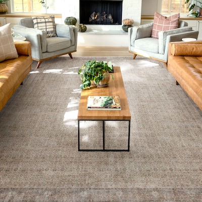 Well Woven Asha Lilith Persian Oriental Vintage Area Rug