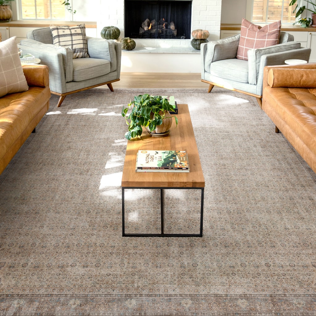 Well Woven Asha Lilith Persian Oriental Vintage Area Rug