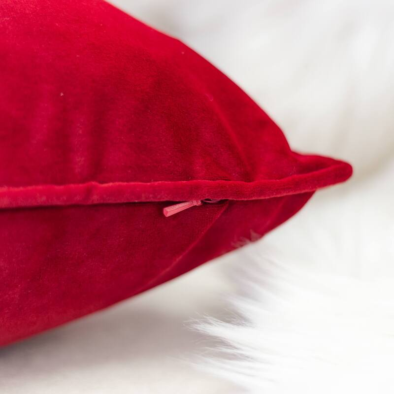 Elisa Velvet 20" Square Decorative Throw Pillow 2PK