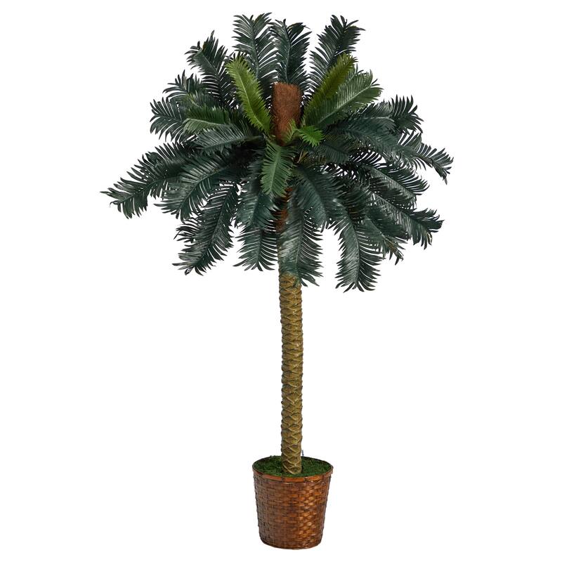Artificial Sago Palm Tree - 5ft Indoor Tropical Plant in Basket - Home Decor - Green - 61 Inches and Over