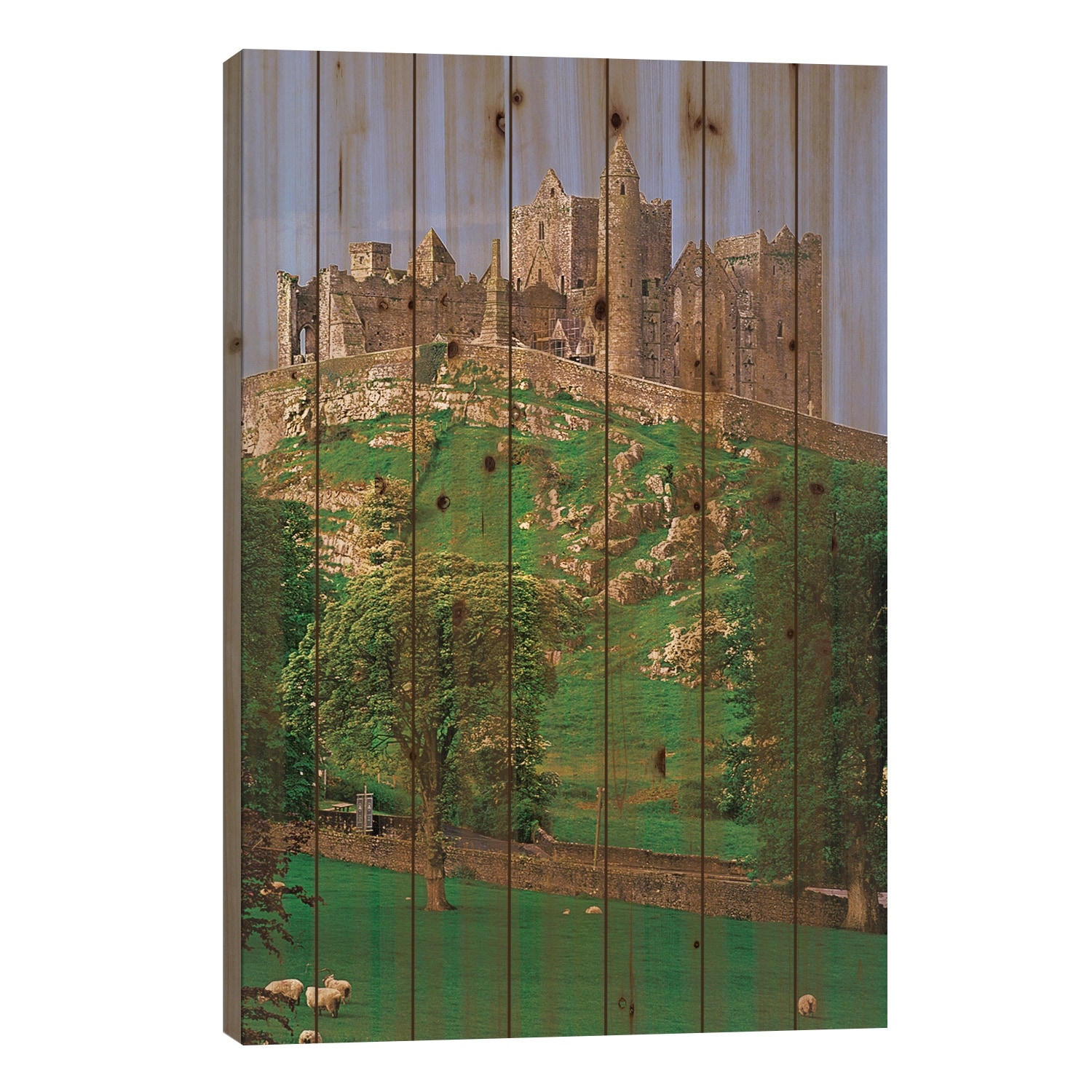 Ireland, County Tipperary. View Of The Rock Of Cashel, A Medieval Fortress. Print On Wood by Jaynes Gallery - Multi-Color