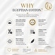 preview thumbnail 8 of 7, Superior Egyptian Cotton 650 Thread Count Solid Duvet Cover Set
