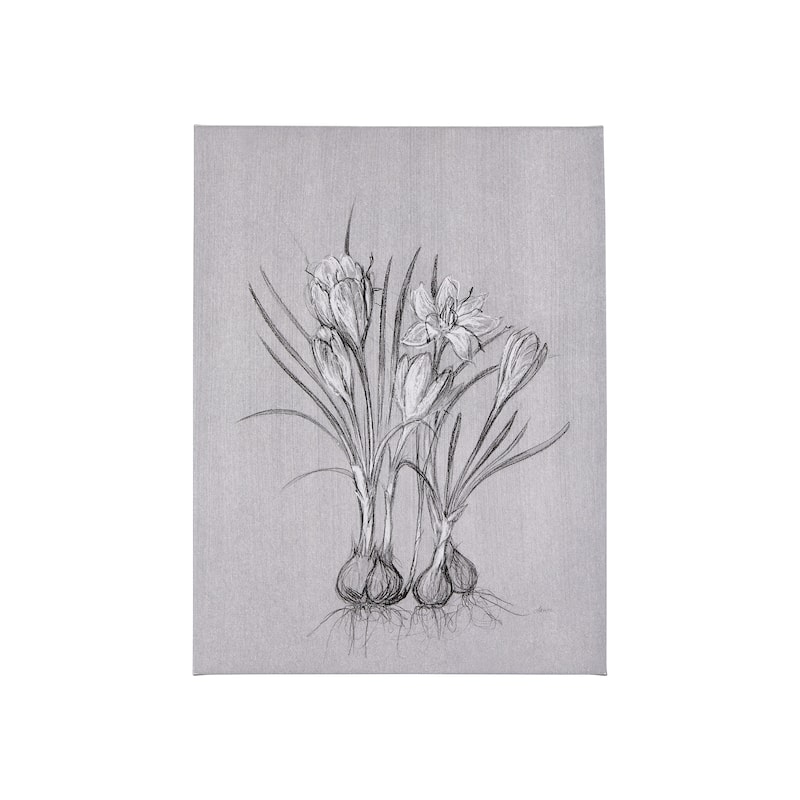 Botanical Sketches V (Grey) (21 x 35) Canvas Art Print - Small