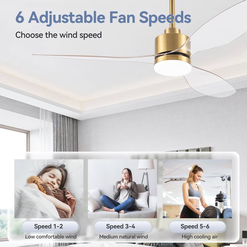 52"/42" Black/Gold LED Ceiling Fan with Lights Remote(3-Blade)