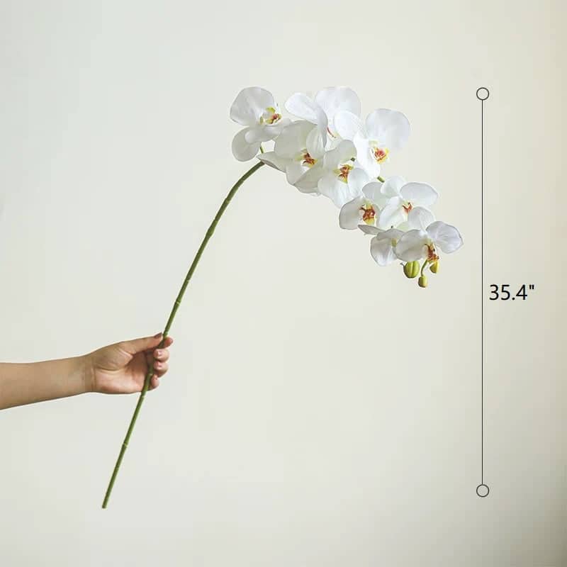 RusticReach Real Touch Orchid Stem in Various Colors 35" Tall - White - [C]-Five Stems