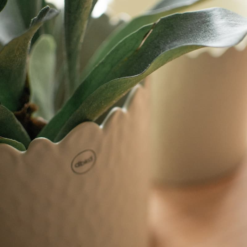 Small Scalloped Rim Ceramic Pot Planter - 6.25" - Cream