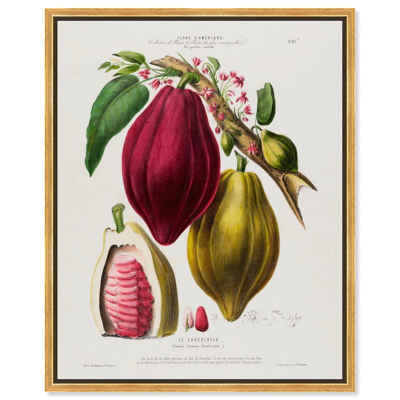 Cocoa Cacao by Etienne Denisse Canvas by Art Remedy - Gold - 24" x 30"