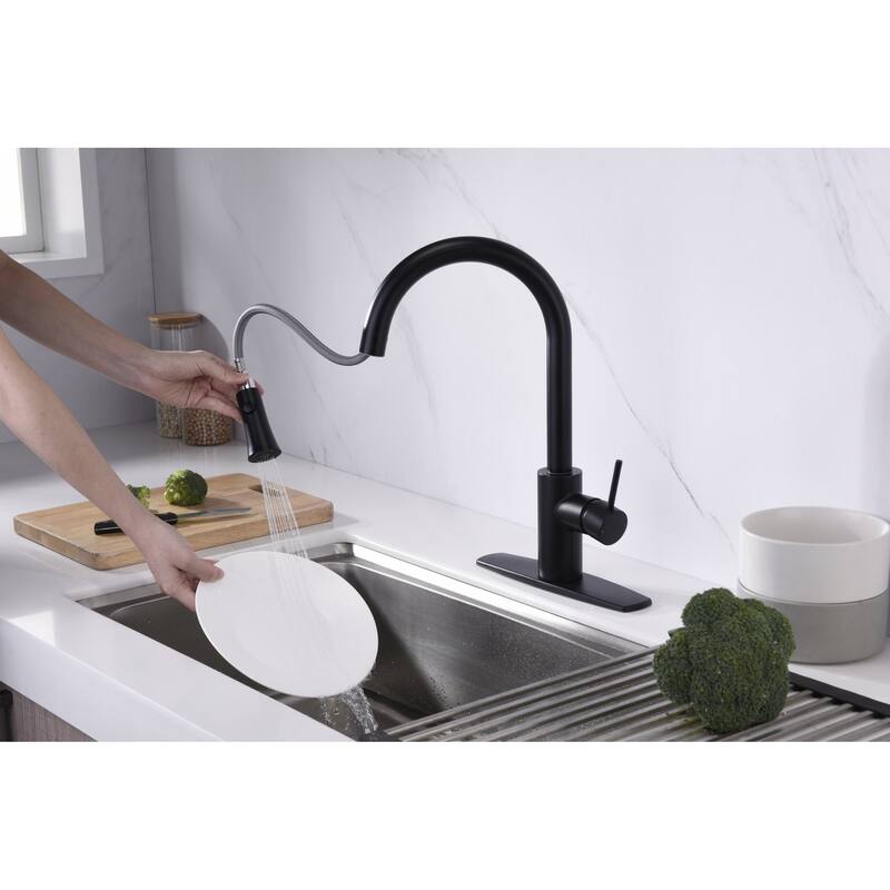 Ultra Faucets Euro Collection Single-Handle Kitchen Faucet With Pull-Down Spray