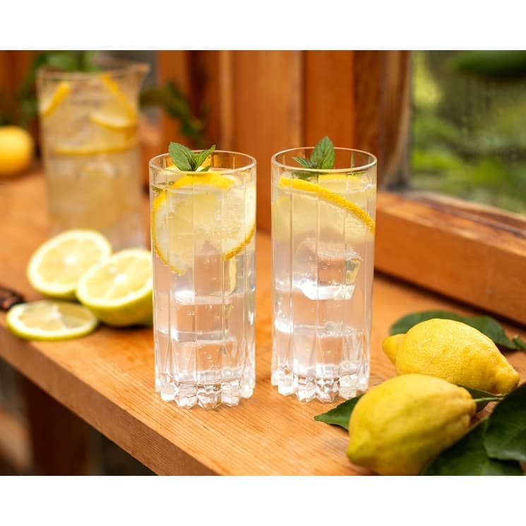 RIEDEL Drink Specific Glassware Highball Glass