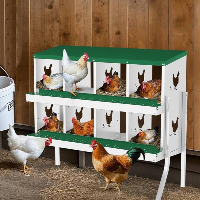 Chicken Nesting Boxes with Roll Out Egg Collection and Legs