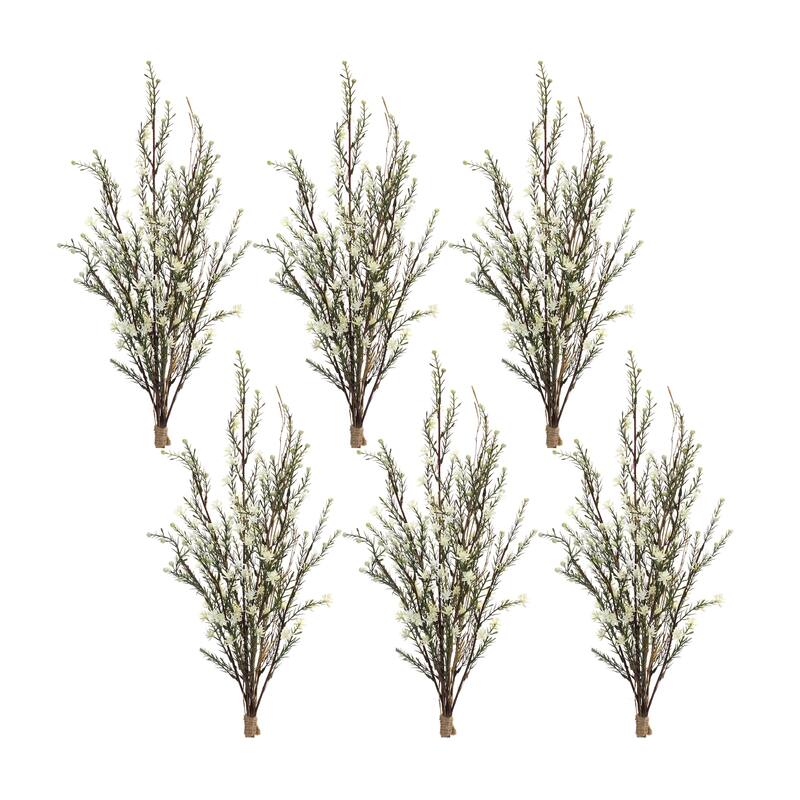 Leptospermum Bundle (Set of 6) - Green
