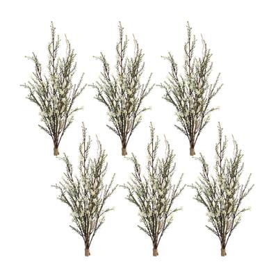 Leptospermum Bundle (Set of 6)