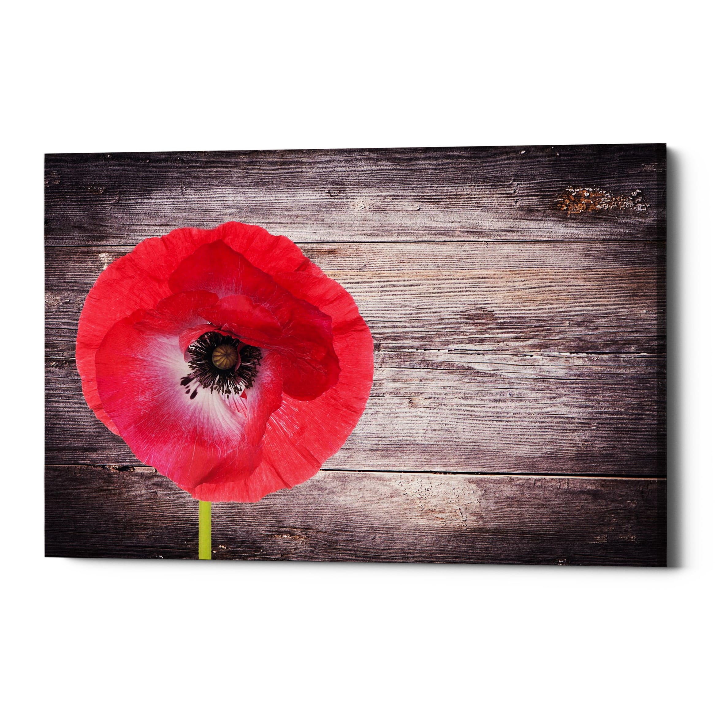 Epic Graffiti "Luxury On Rustic" Giclee Canvas Wall Art, 18"x12"