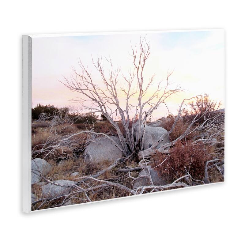 Stupell Rocky Foothills Terrain Wall Plaque Art Design By Gemma Bardot