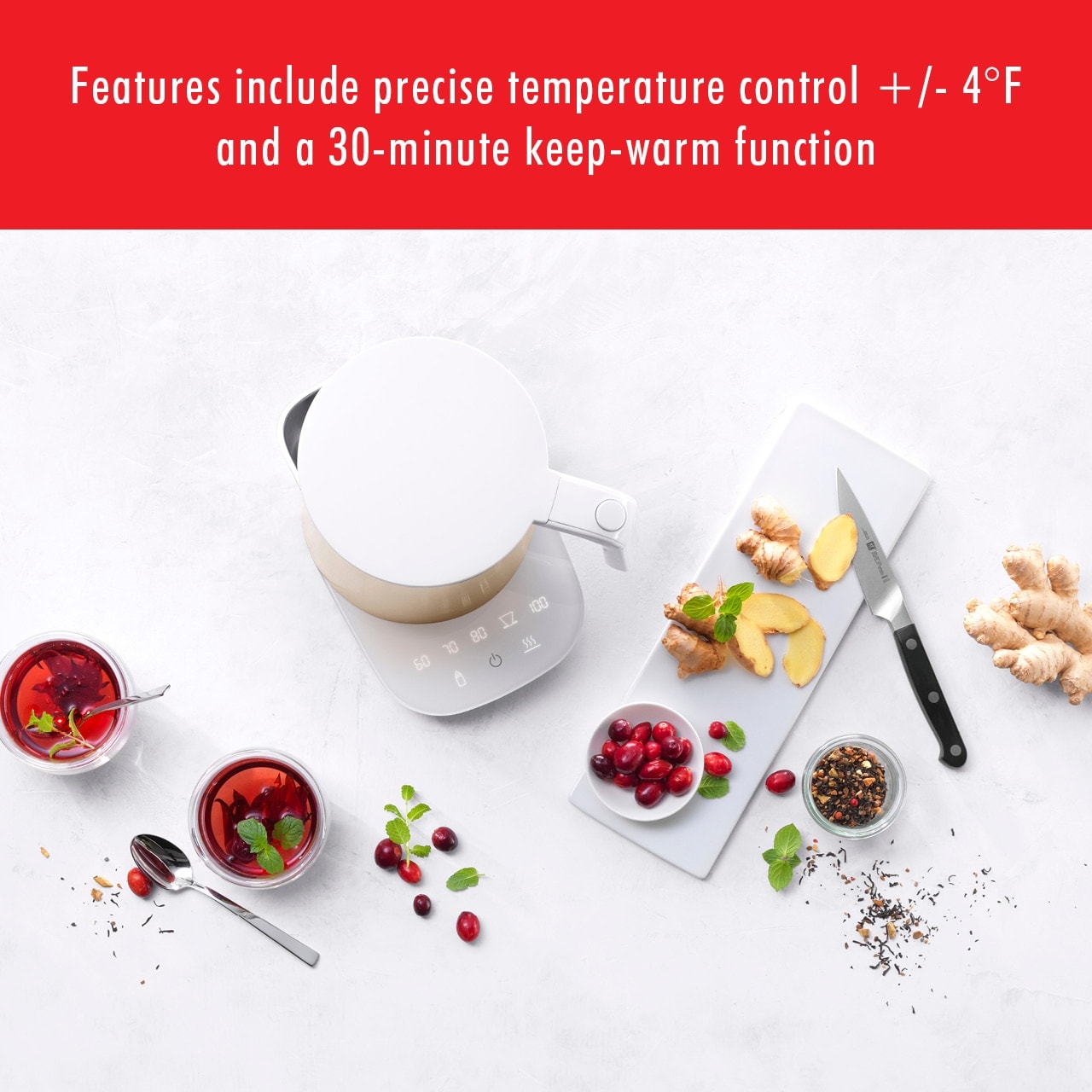 https://ak1.ostkcdn.com/images/products/is/images/direct/e0493cb90eb3b2a9721625840ab0299389769812/ZWILLING-Enfinigy-Cool-Touch-Kettle-Pro.jpg