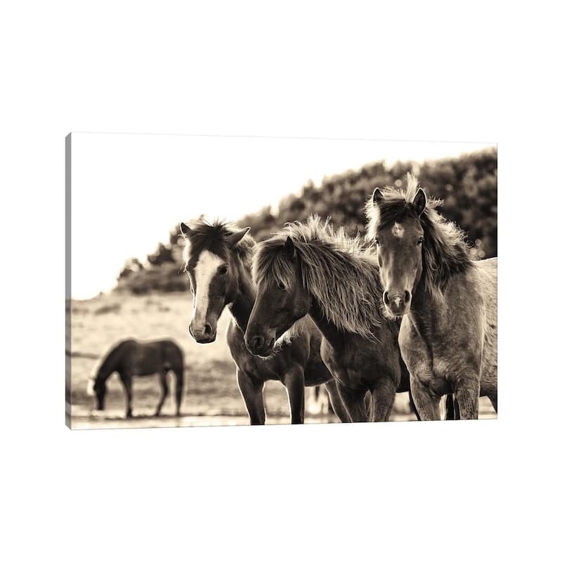 iCanvas "Horses Three Sepia" by Aledanda Canvas Print