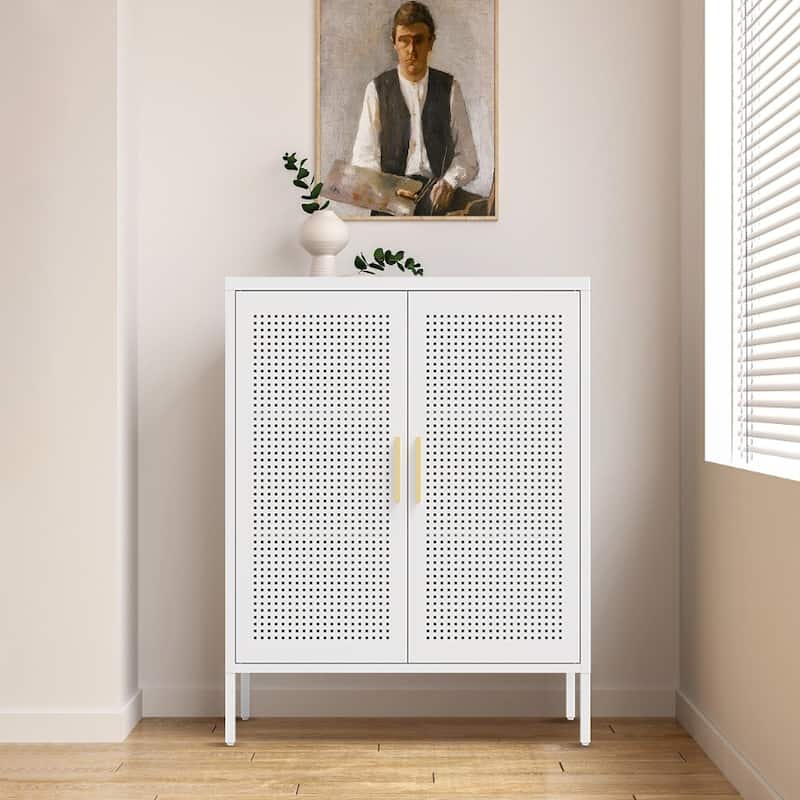 Metal Storage Cabinet with 2 Doors and 2 Adjustable Shelves, Steel Lockable Garage Storage Cabinet