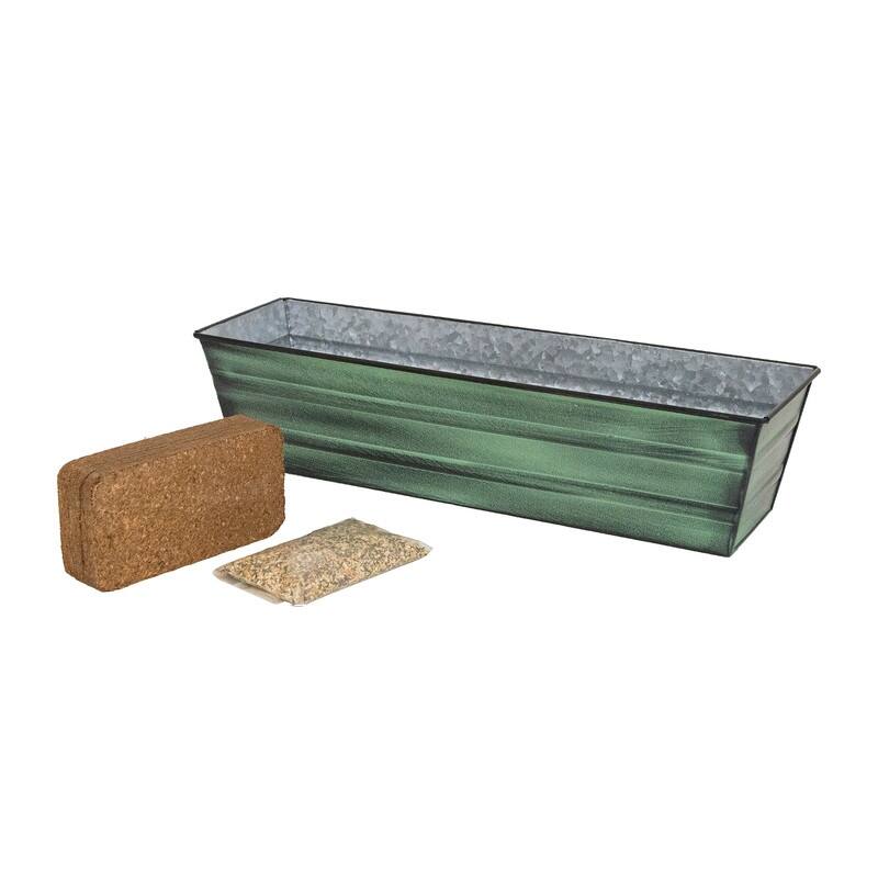 Achla Designs 22" W Galvanized Steel Bloom Box Garden Growing Kit - Green