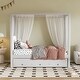 preview thumbnail 3 of 10, Traditional Modern Twin Size Upholstery Platform Bed with Storage Drawers,Extra Trundle Under-Bed,Bunk Bed with Canopy Roof