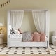 preview thumbnail 1 of 33, Upholstery Canopy Platform Bed with Trundle and Three Storage Drawers Twin - Beige
