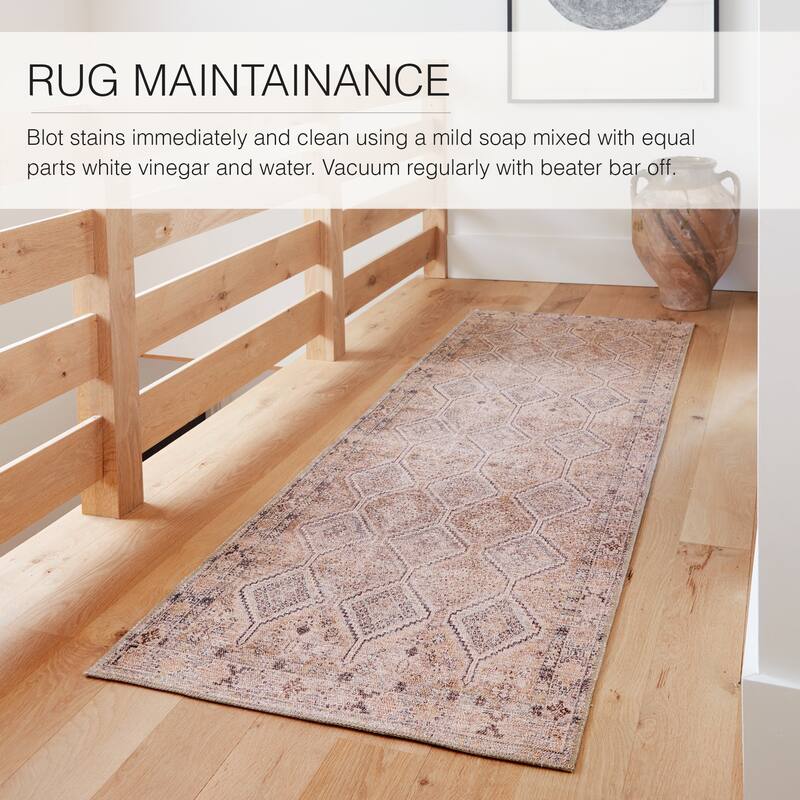 Marquesa Machine Washable Trellis Light Pink/ Blue Area Rug