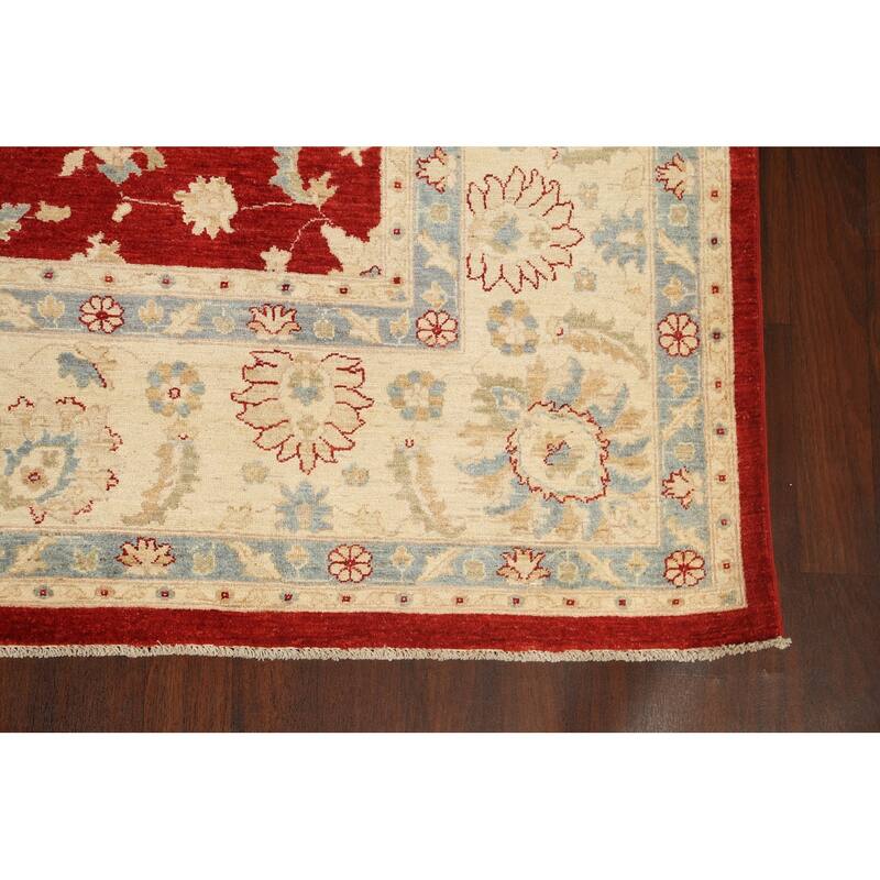Vegetable Dye Floral Ziegler Oriental Wool Area Rug Handmade Carpet - 10'1" x 13'8"