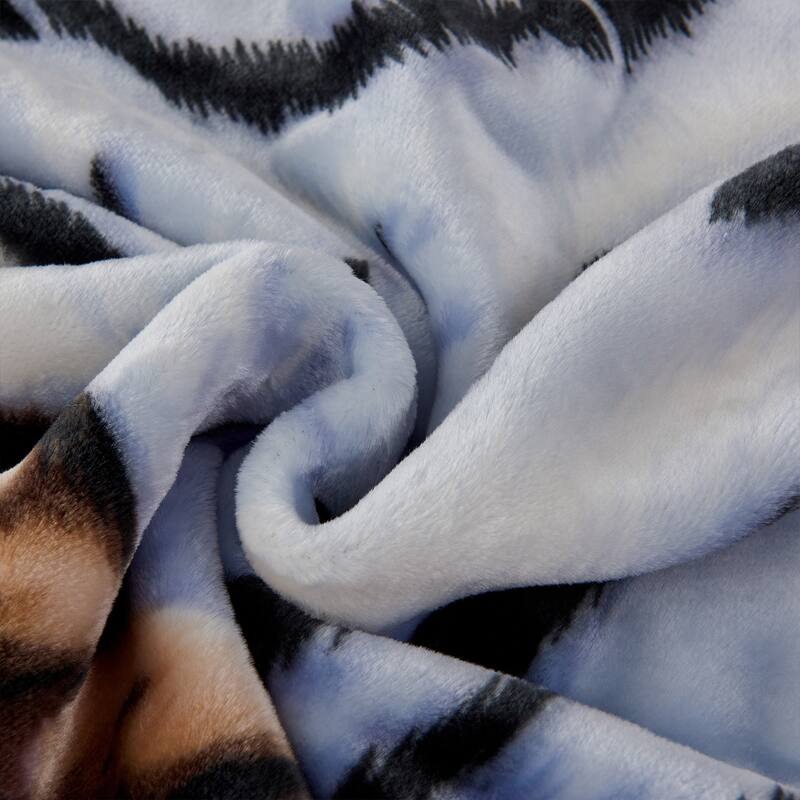 Raschel A&B Printed 2-ply Reversible Korean-style Plush Fleece Blanket