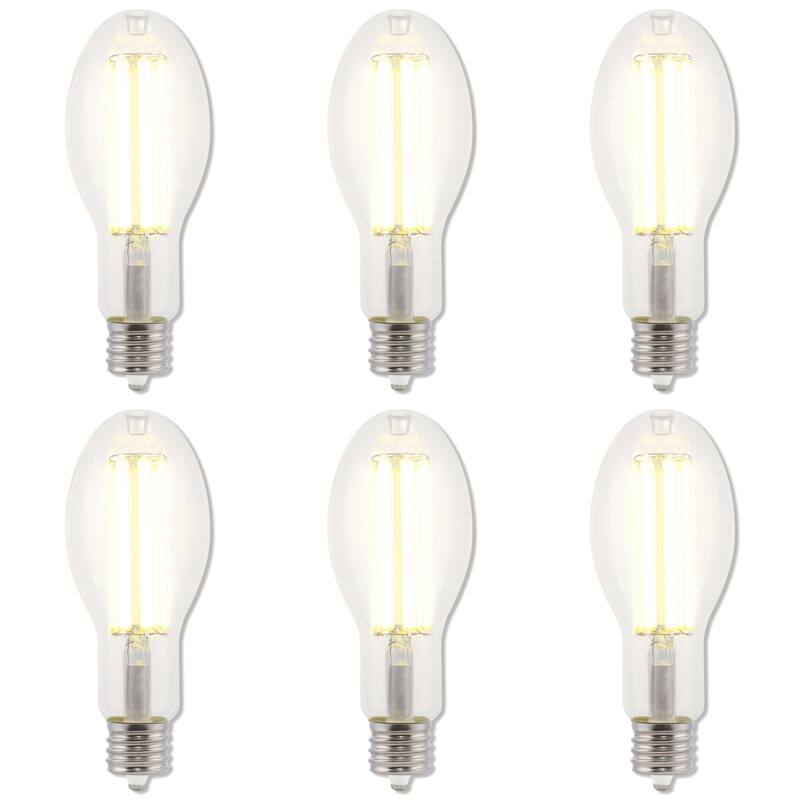 Westinghouse Lighting 45 Watt (250 Watt HID Equivalent) Daylight ED28 High Lumen Filament LED Light Bulb, Extended Mogul Base
