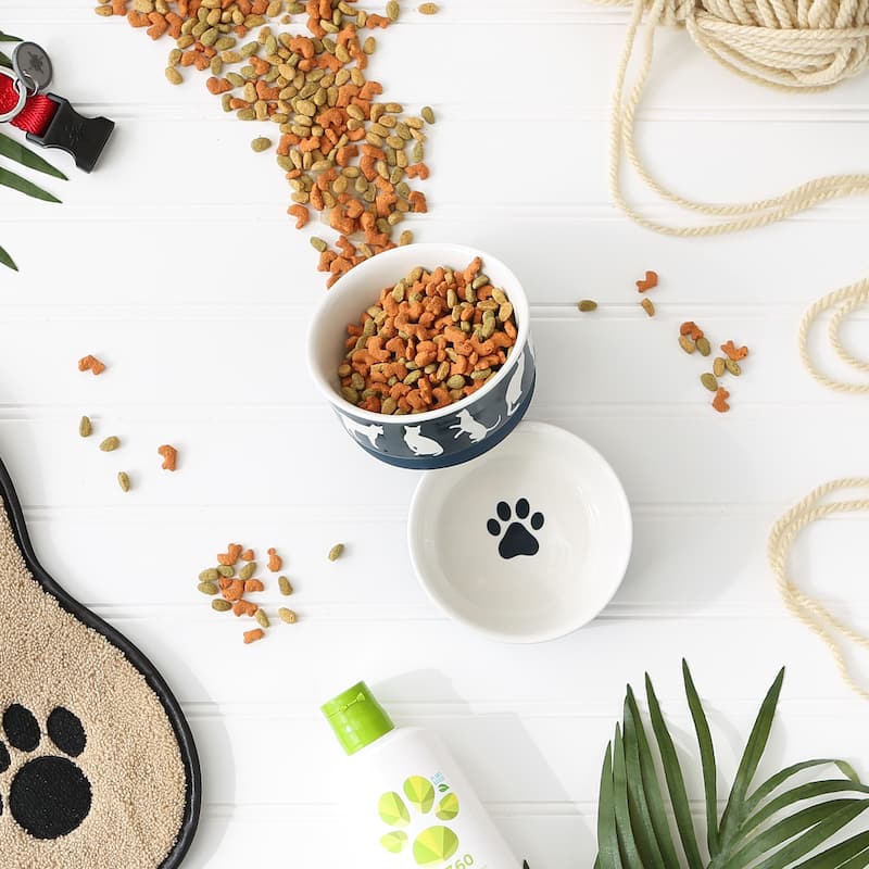 Bone Dry Pet Bowl Cats Meow (Set of 2)
